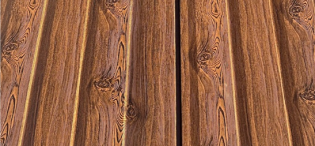 modelo syding wengue